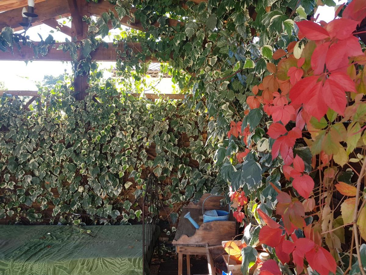 Magnifique Villa De Charme Avec Piscine Draguignan Extérieur photo