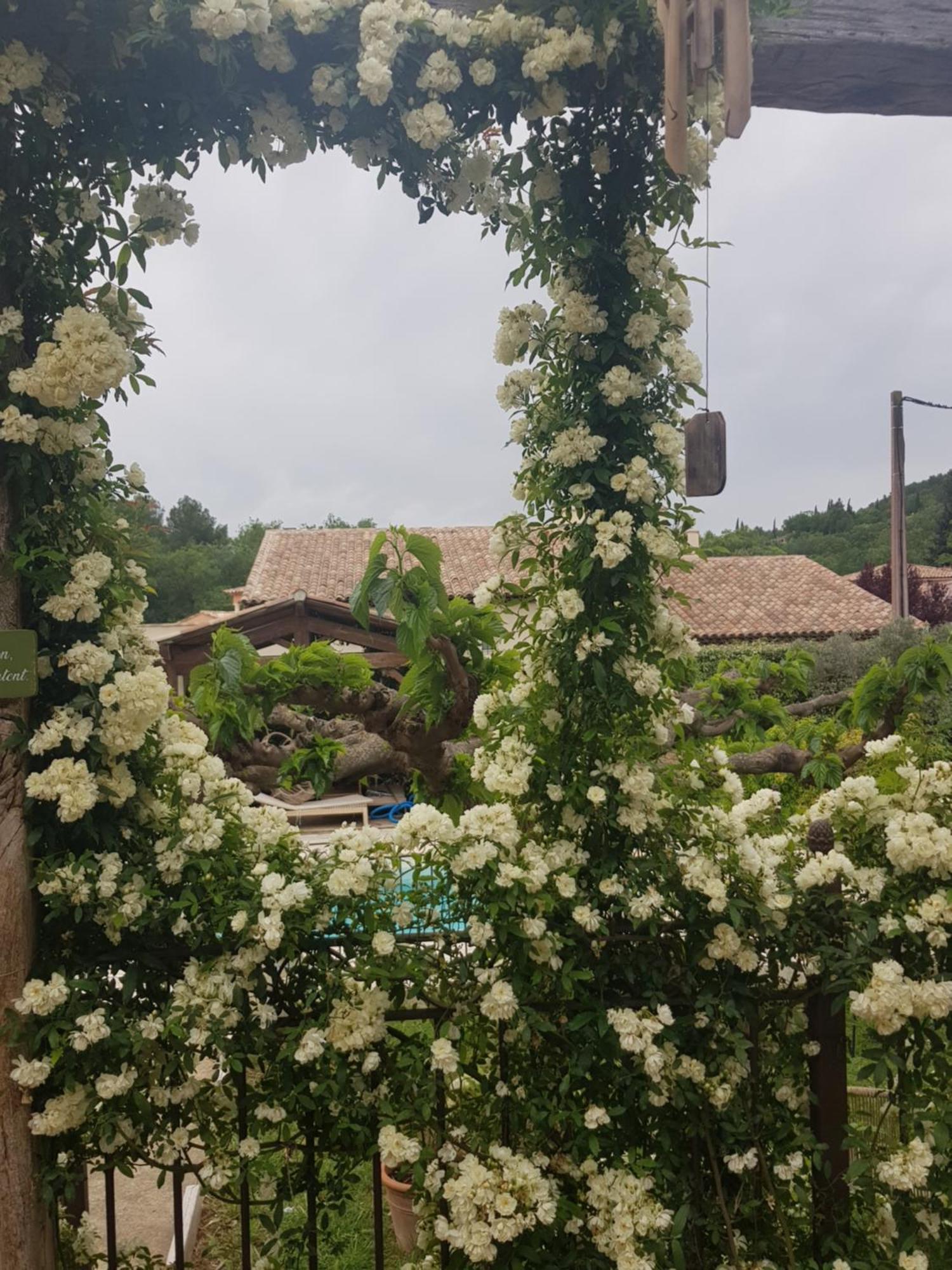 Magnifique Villa De Charme Avec Piscine Draguignan Extérieur photo